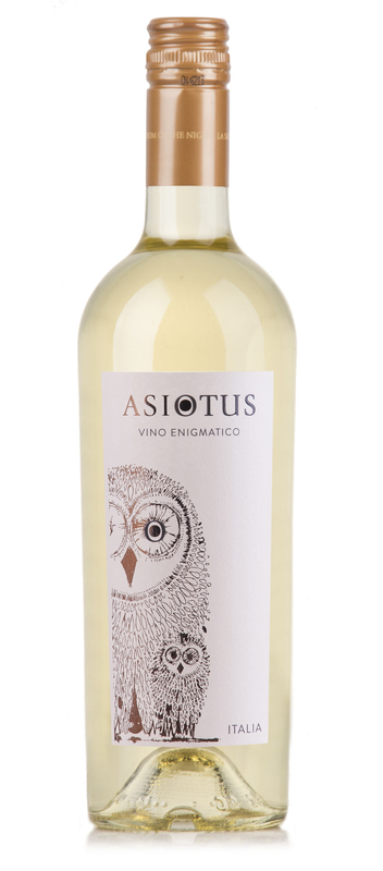 Asio Otus BIANCO d'Italia amabile