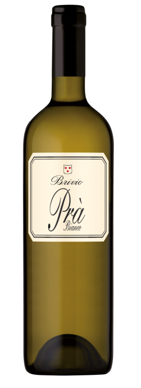 Pra Bianco DOC Ticino Brivio