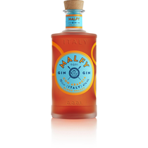 Malfy Gin Con Arancia