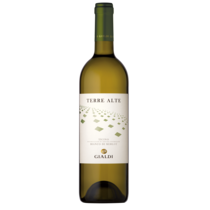 Terre Alte Merlot Bianco Ticino DOC
Gialdi